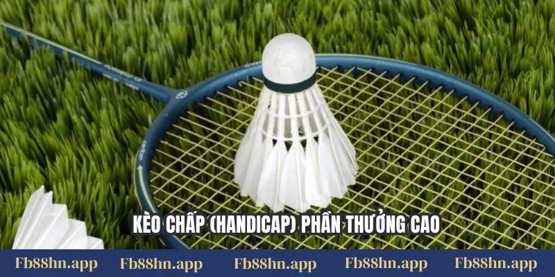Kèo chấp (handicap) phần thưởng cao