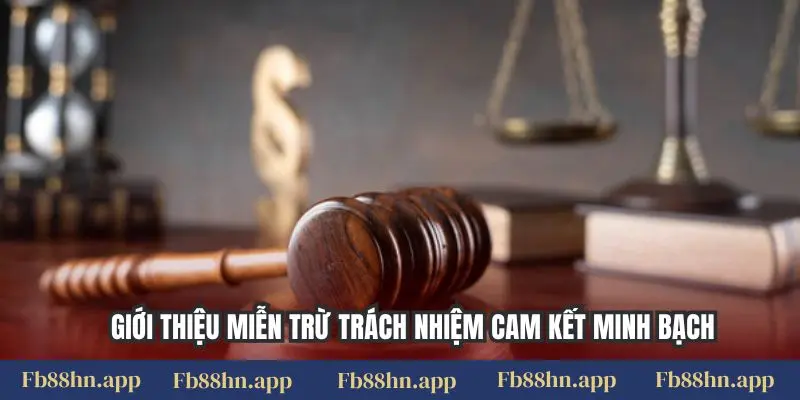 Giới thiệu miễn trừ trách nhiệm cam kết minh bạch