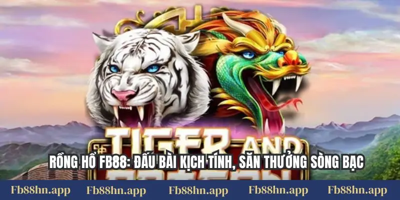 Rồng Hổ Fb88: Đấu Bài Kịch Tính, Săn Thưởng Sòng Bạc